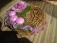 /album/kvetna-radost/dsc01208-jpg/
